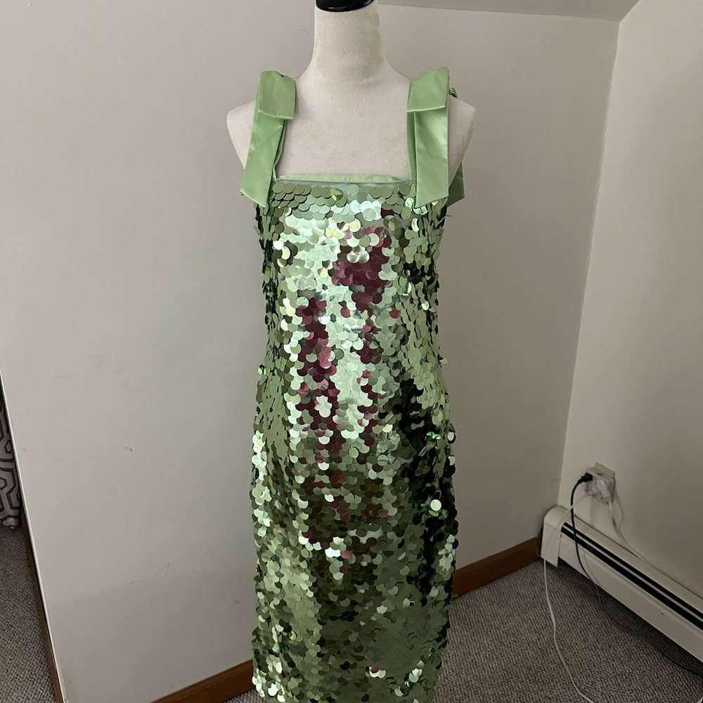 COPY - Tuckernuck Green Sequin Dress